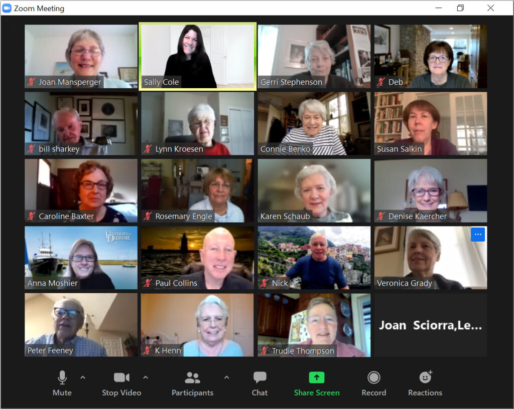 virtual OLLI council meeting