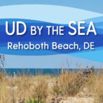 UD by the Sea